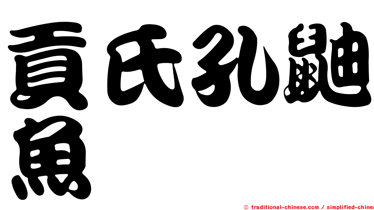 貢氏孔鼬魚