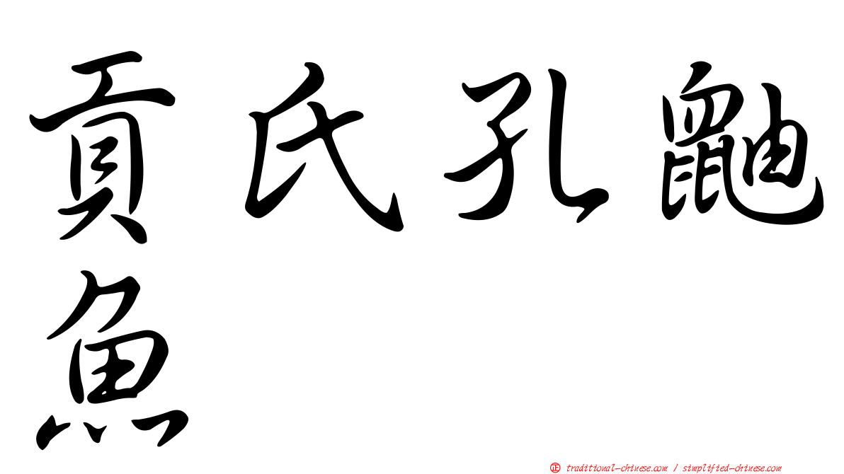 貢氏孔鼬魚