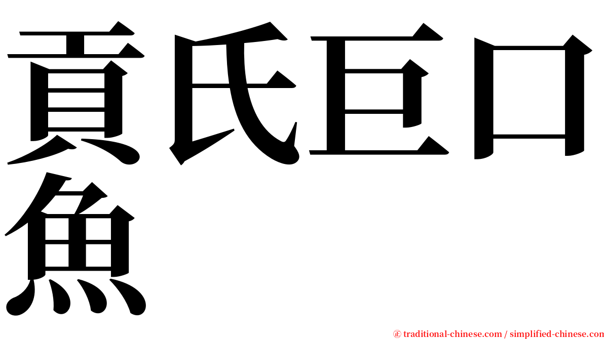 貢氏巨口魚 serif font