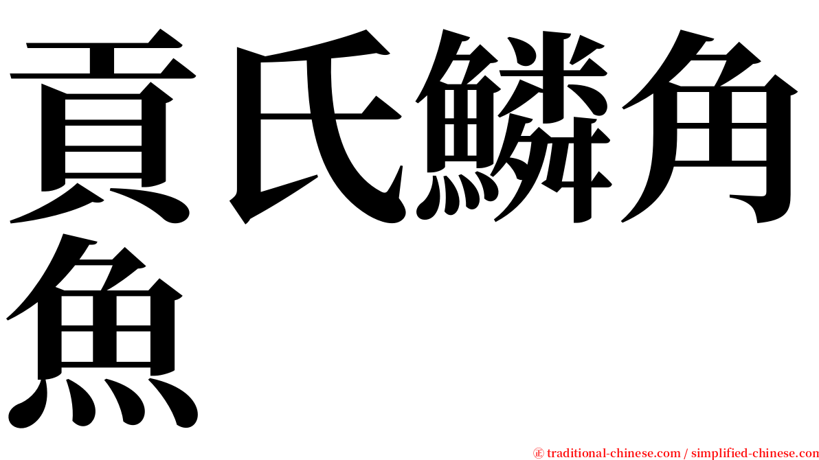 貢氏鱗角魚 serif font