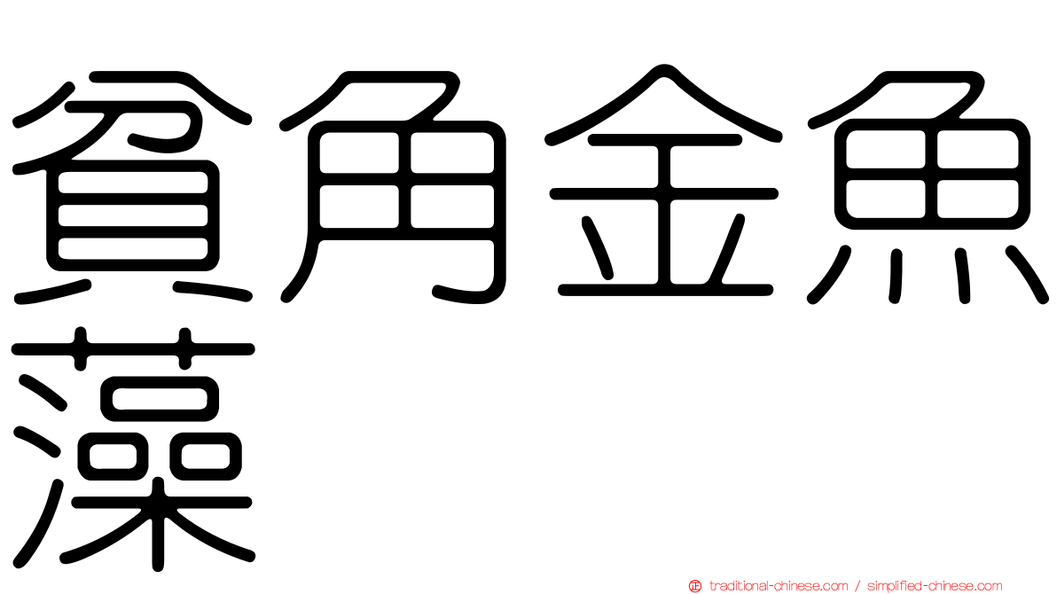 貧角金魚藻