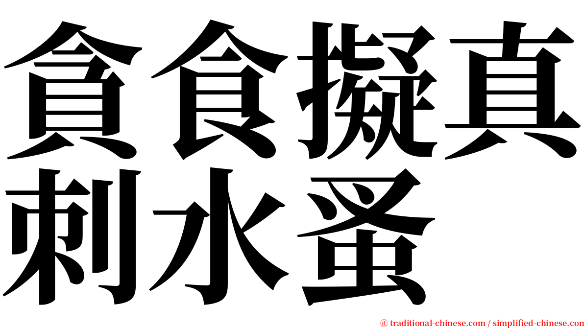 貪食擬真刺水蚤 serif font
