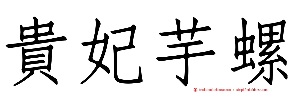 貴妃芋螺