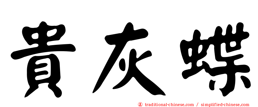貴灰蝶