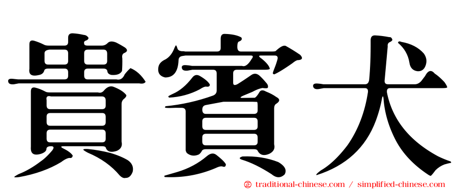貴賓犬