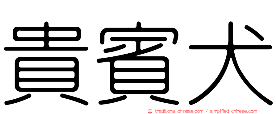 貴賓犬
