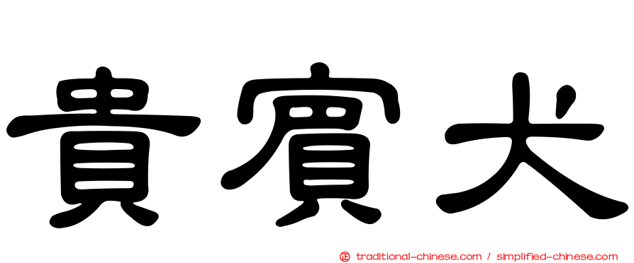 貴賓犬