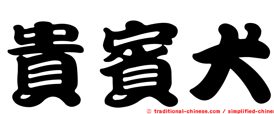 貴賓犬