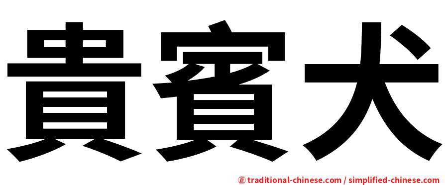 貴賓犬
