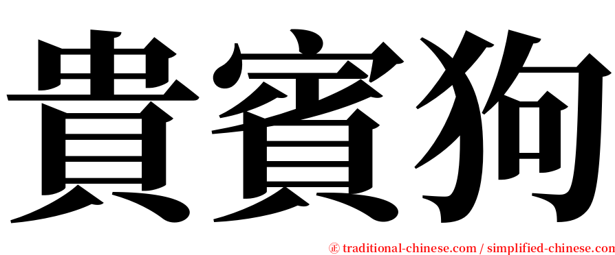 貴賓狗 serif font