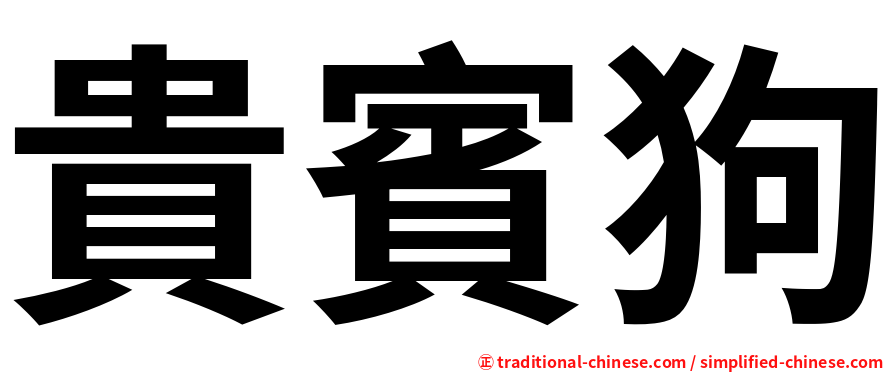 貴賓狗