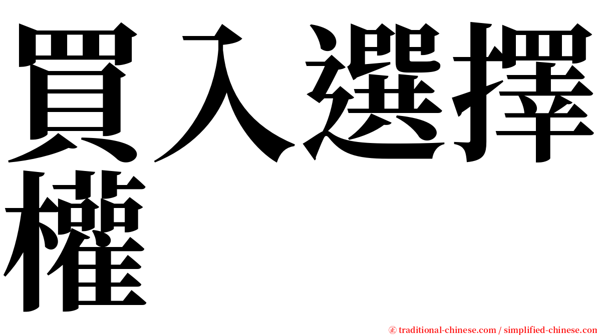 買入選擇權 serif font