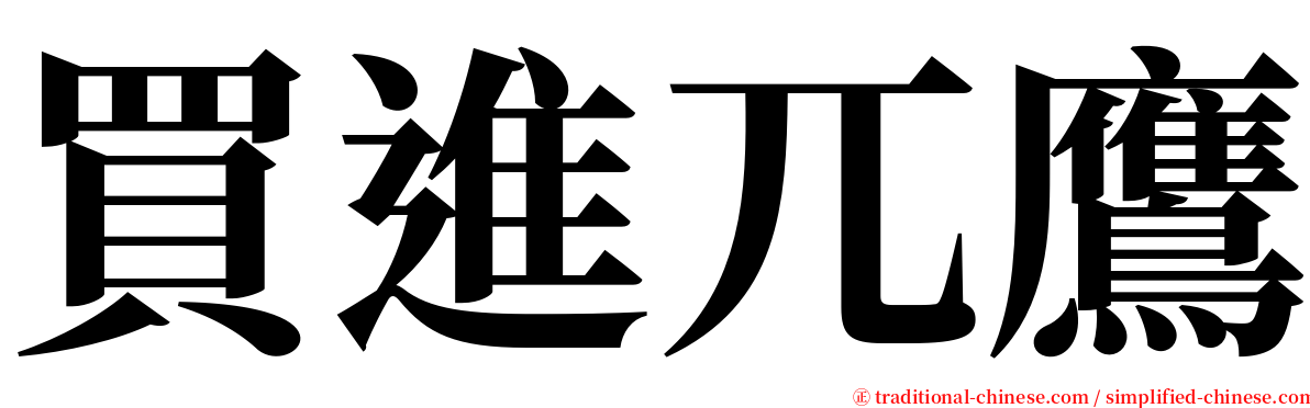 買進兀鷹 serif font
