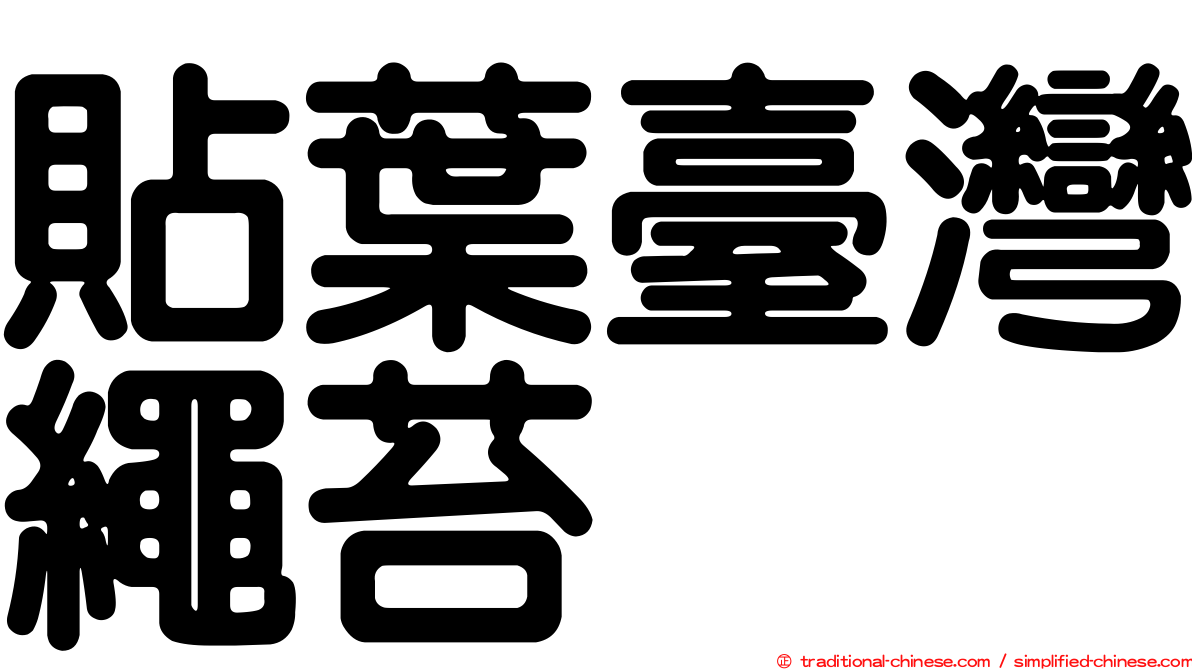 貼葉臺灣繩苔