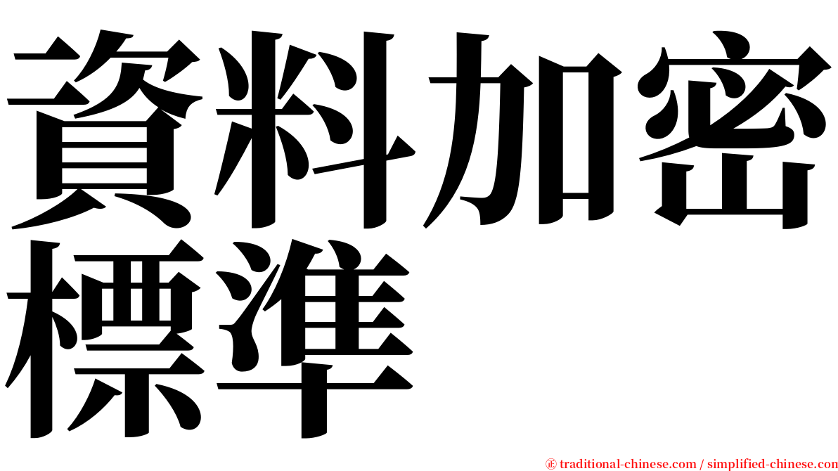 資料加密標準 serif font