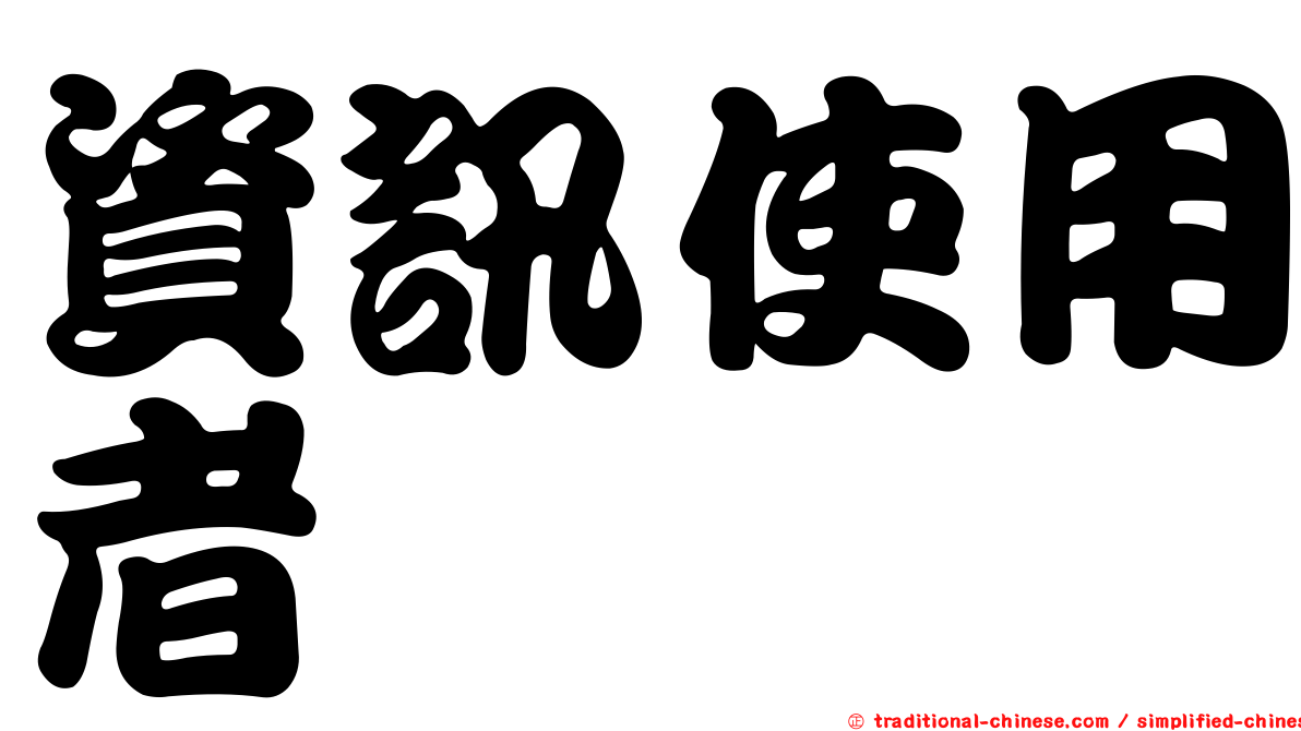 資訊使用者