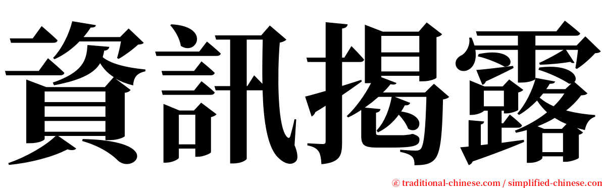 資訊揭露 serif font