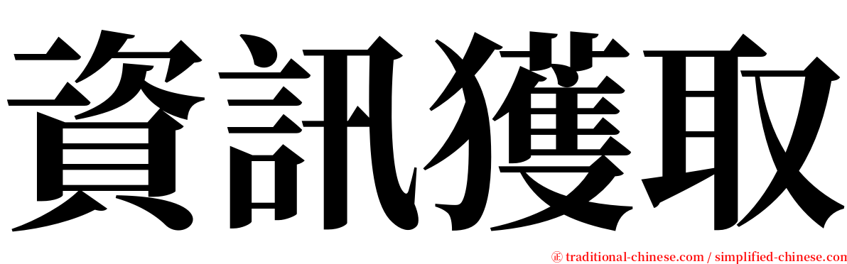 資訊獲取 serif font