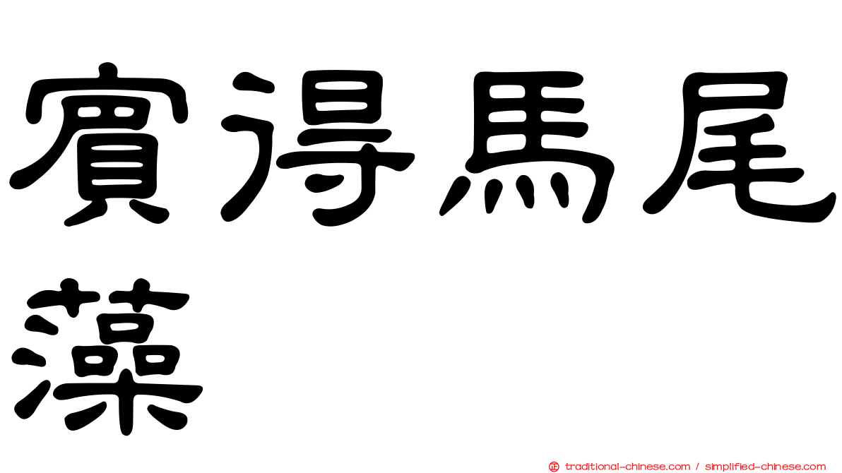 賓得馬尾藻