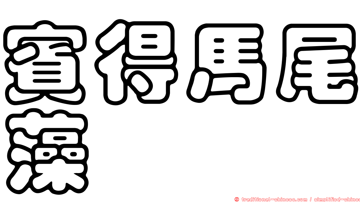 賓得馬尾藻