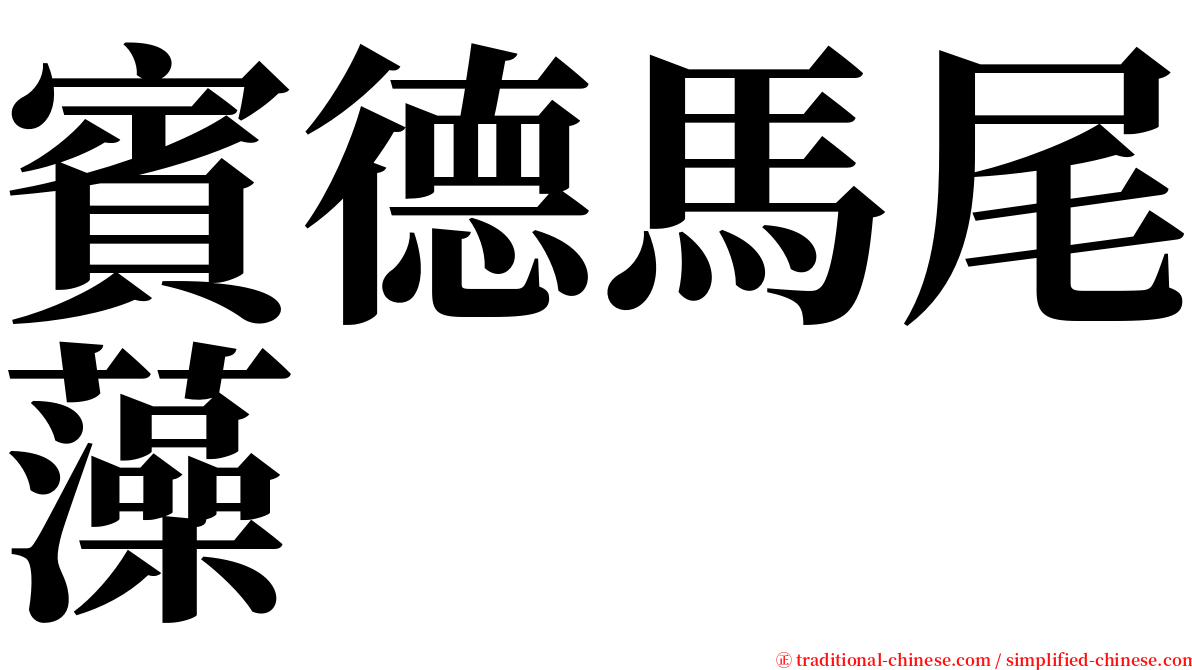賓德馬尾藻 serif font