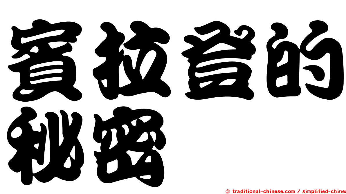 賓拉登的秘密