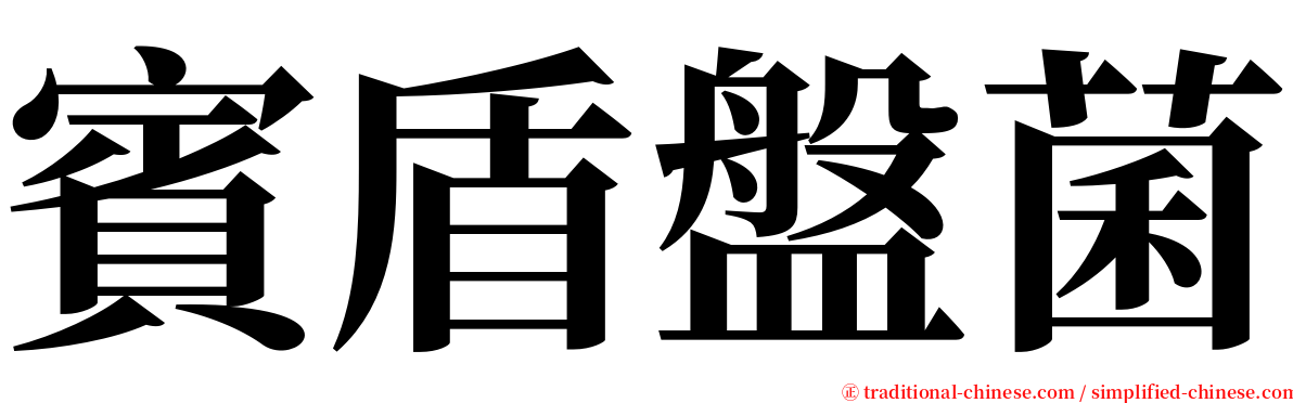 賓盾盤菌 serif font