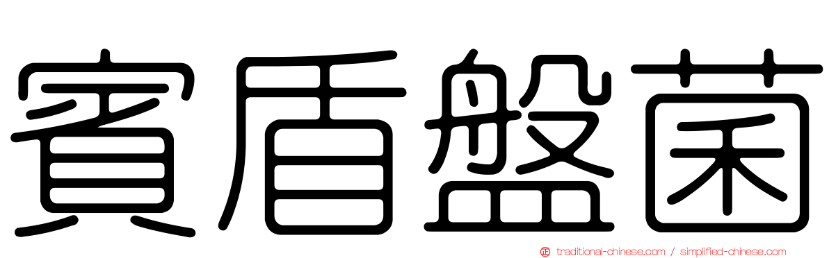 賓盾盤菌