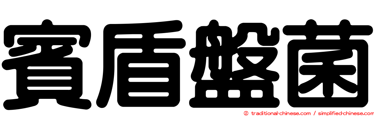賓盾盤菌