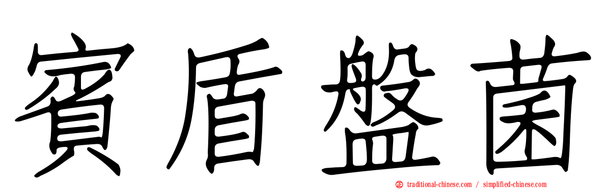 賓盾盤菌