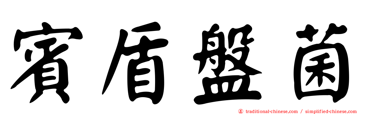 賓盾盤菌