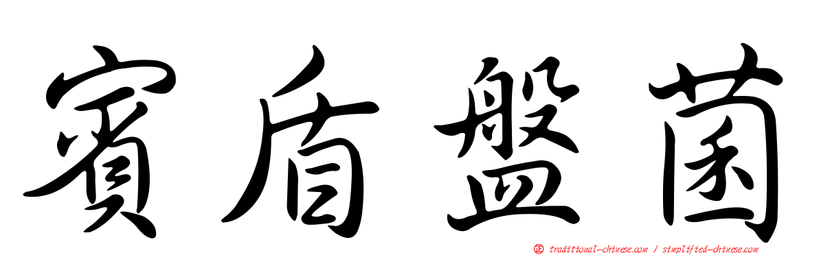 賓盾盤菌