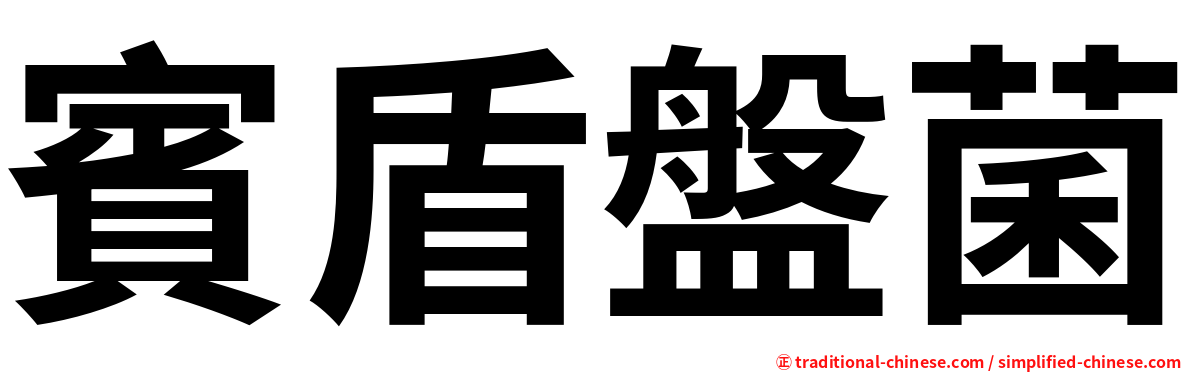 賓盾盤菌