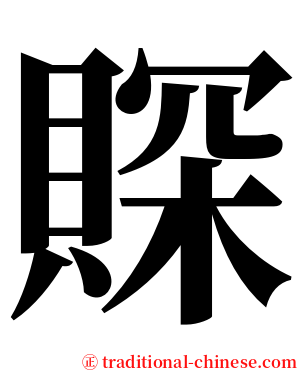 賝 serif font