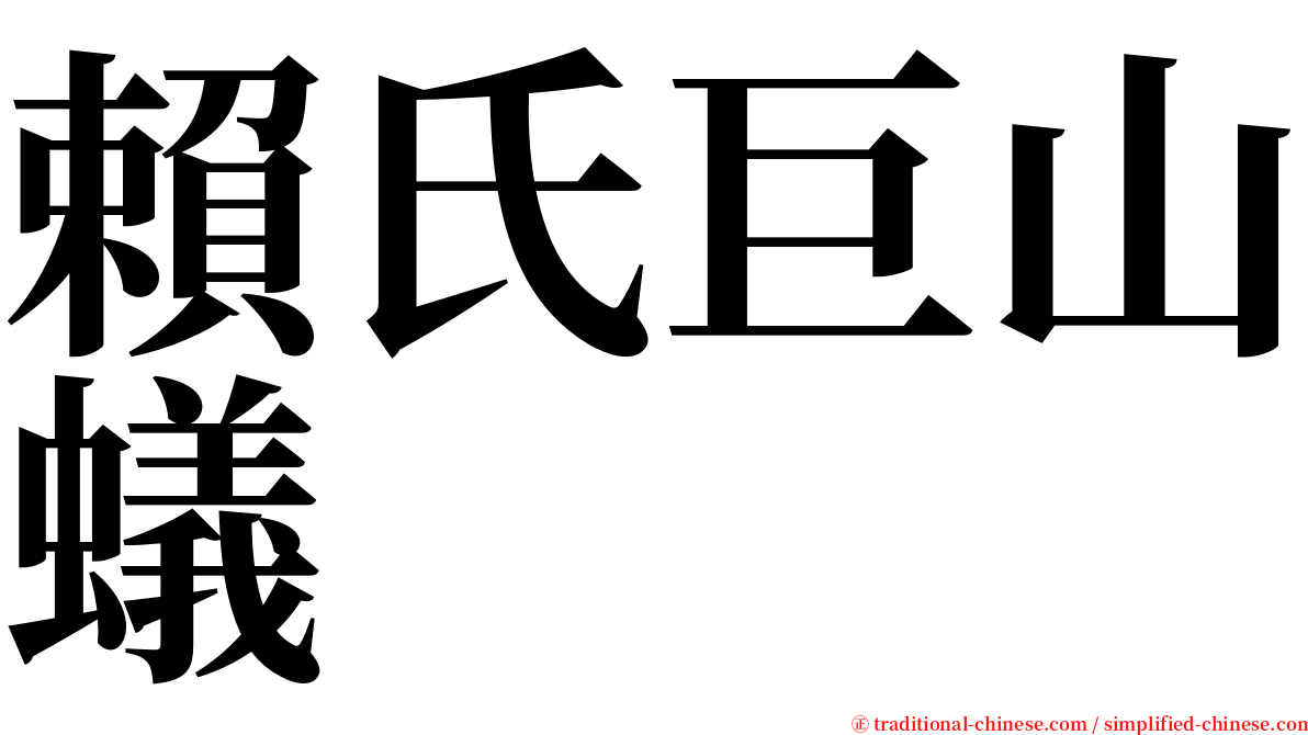 賴氏巨山蟻 serif font