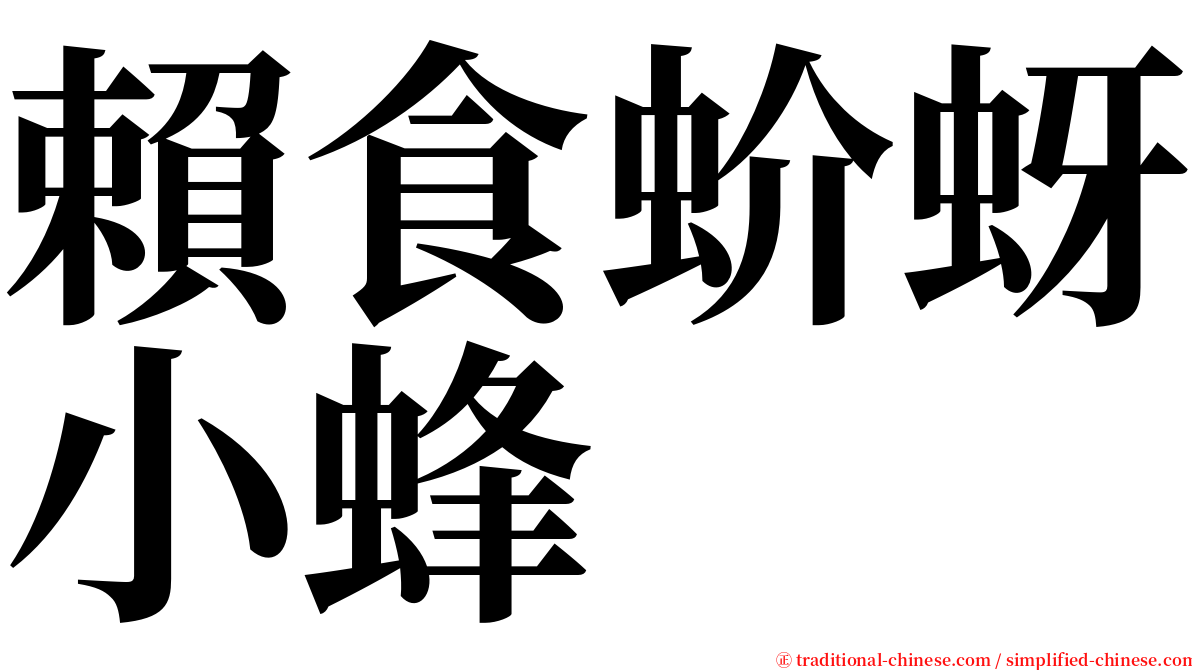 賴食蚧蚜小蜂 serif font
