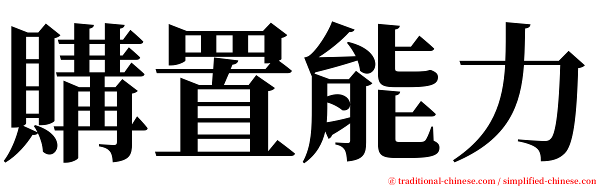 購置能力 serif font