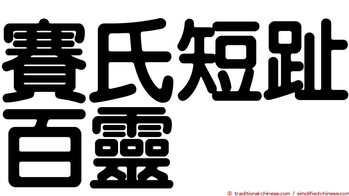 賽氏短趾百靈