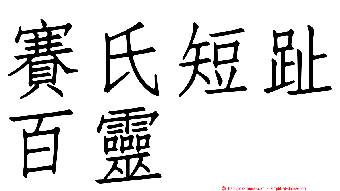 賽氏短趾百靈