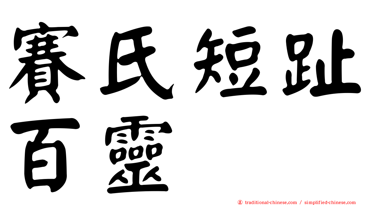 賽氏短趾百靈