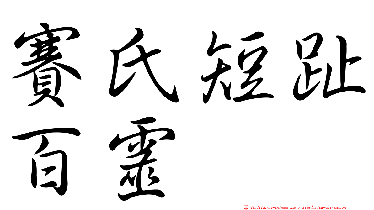 賽氏短趾百靈