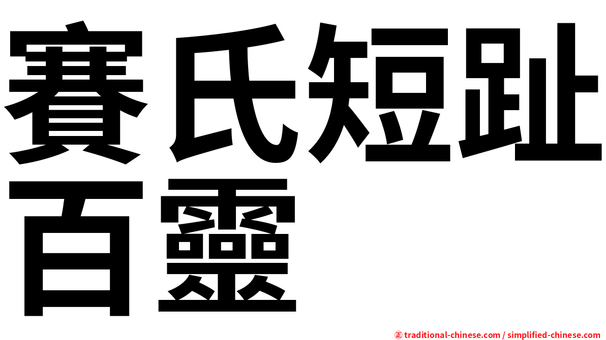 賽氏短趾百靈