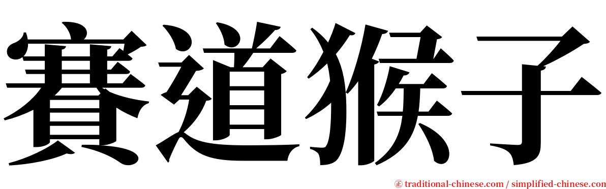 賽道猴子 serif font