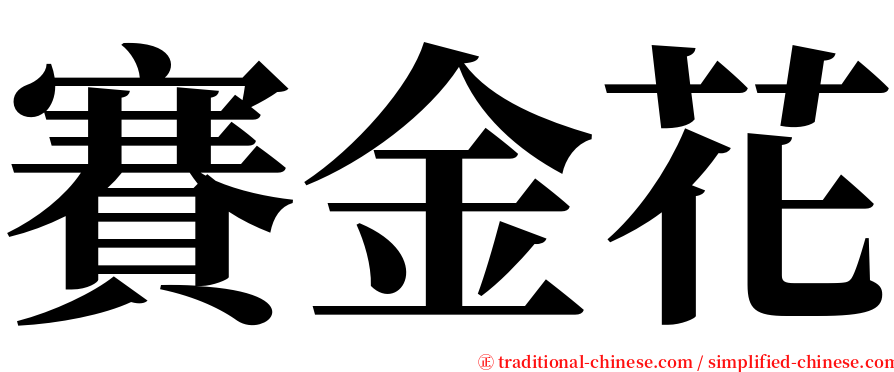 賽金花 serif font