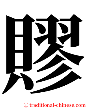 賿 serif font