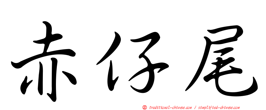 赤仔尾