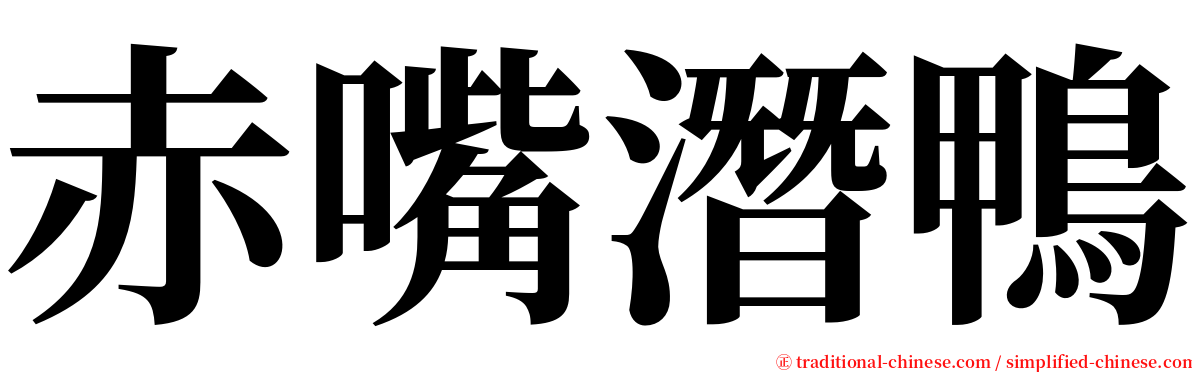 赤嘴潛鴨 serif font