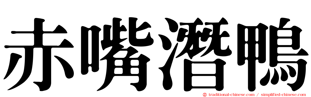赤嘴潛鴨