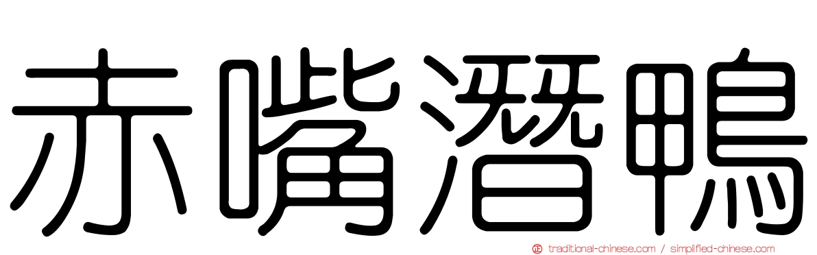 赤嘴潛鴨