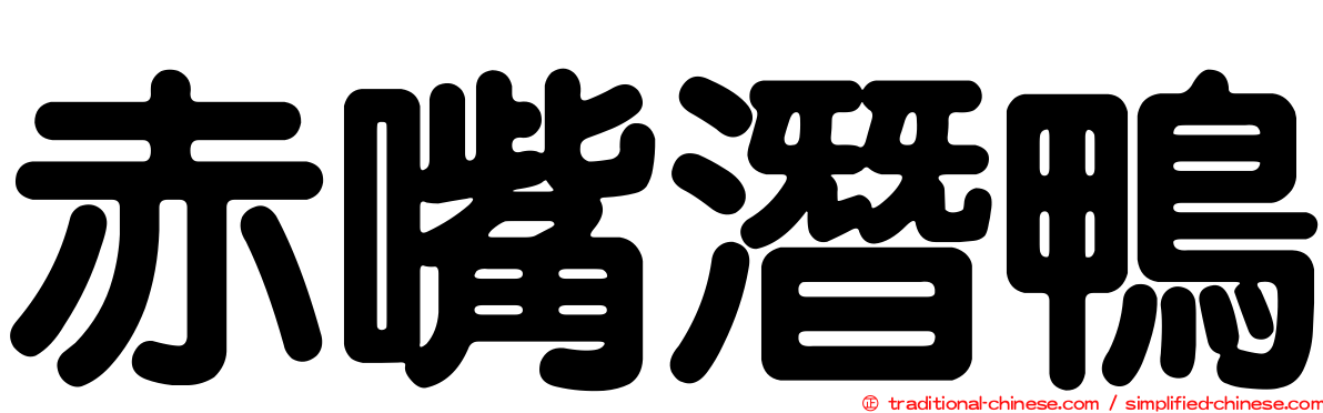 赤嘴潛鴨